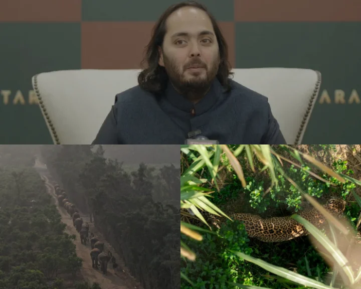 What is Vantara? Reliance Foundation's Anant Ambani unveils animal rescue and rehabilitation initiative