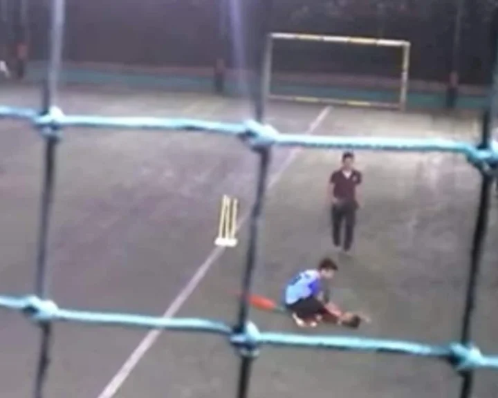 VIDEO: 11-year-old Pune boy dies after cricket ball hits private part