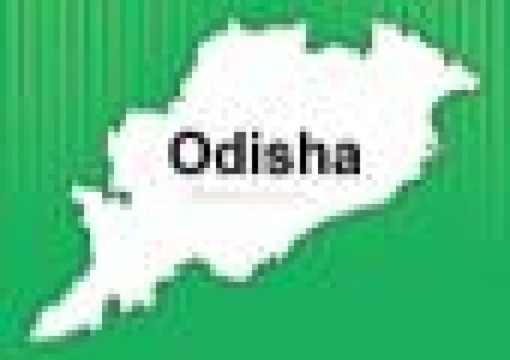 5 baby orangutans rescued from Odisha, smuggling suspected