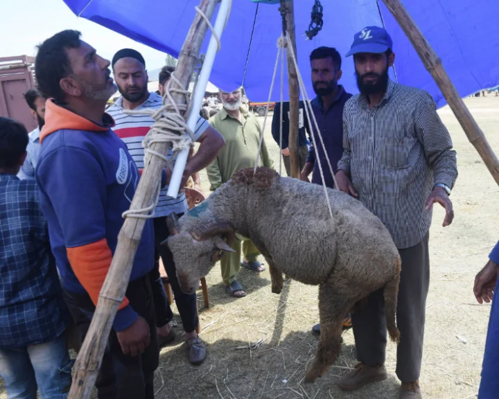 Ahead of Eid-ul-Adha, Kashmir markets abuzz with shoppers