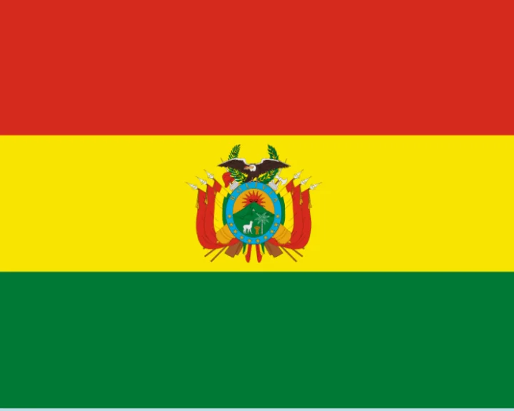 Bolivia: Army general commander arrested after coup attempt fails