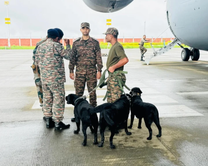 Wayanad landslides: 10 SAR dogs which can sniff human body scent from 10-15 feet of rubbles assisting rescue operation