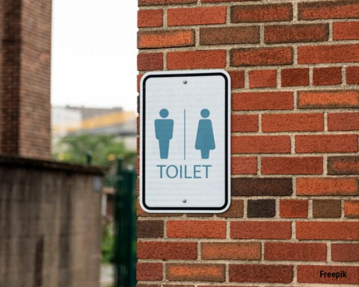 World Toilet Day: A brief history of the toilet