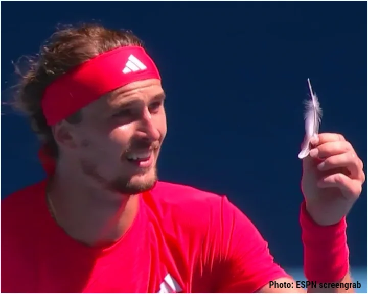 Australian Open: Alexander Zverev warned after feather distraction (VIDEO)
