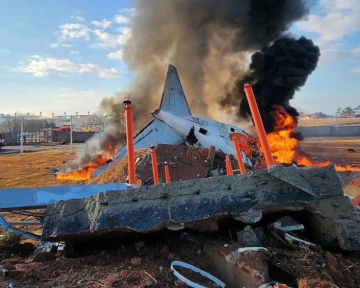 South Korea plane crash: Bird feathers found in engines of Jeju Air jet, WATCH how the plane crashed that killed 179 people