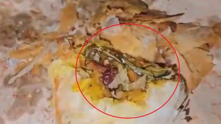 SHOCKING! Telangana woman finds snake in curry puff, VIDEO goes viral