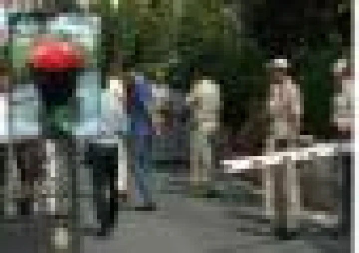Delhi Assembly Security Breach: Car Rams Gate, Masked Driver Places Flower Bouquet & Escapes
