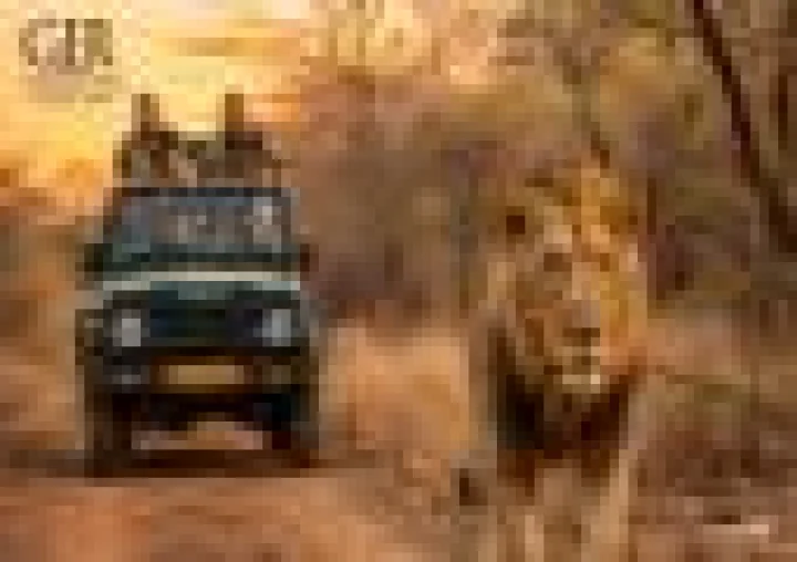 Gir Safari Fee Hike: Permit Charges May Rise After 11 Years