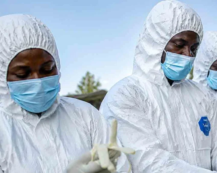 Ebola and the US patient spotlight global health 'injustice'