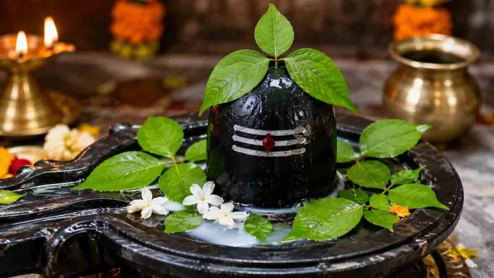 Can Bel Patra Be Reoffered to Lord Shiva? Know the Rules, Benefits and Significance