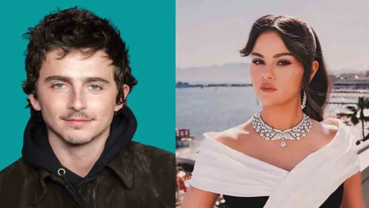 Timothée Chalamet to Debut in Animation Film 'Not Alone' Alongside Selena Gomez
