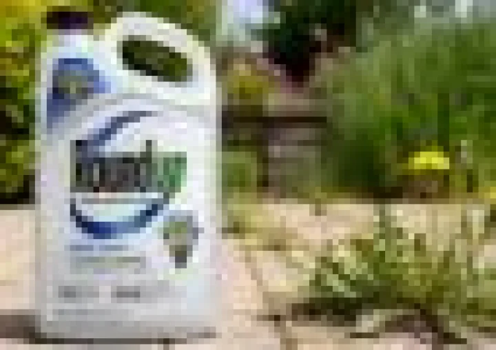 US Supreme Court sides with agrochemicals giant Bayer over weedkiller cancer claims