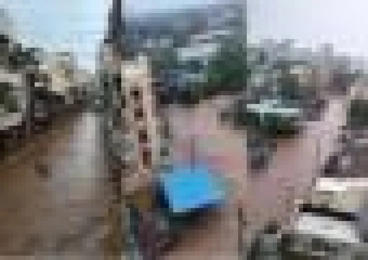 Gujarat Rain Fury: Umargam Gets 35.67 Inches Rain, Valsad-Dang Flooded, 365 Roads Closed