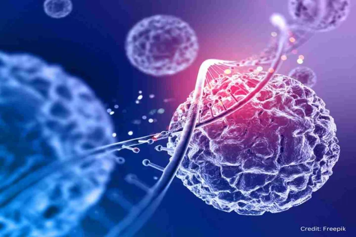 Study shows why younger generations may be more cancer-prone