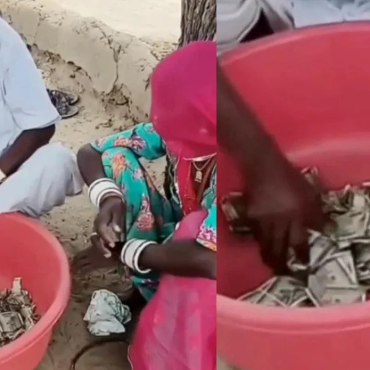 Rajasthan Farmer Buries Rs 5 Lakh in Field to Save It From Theft, Finds Cash Eaten by Termites a Year Later