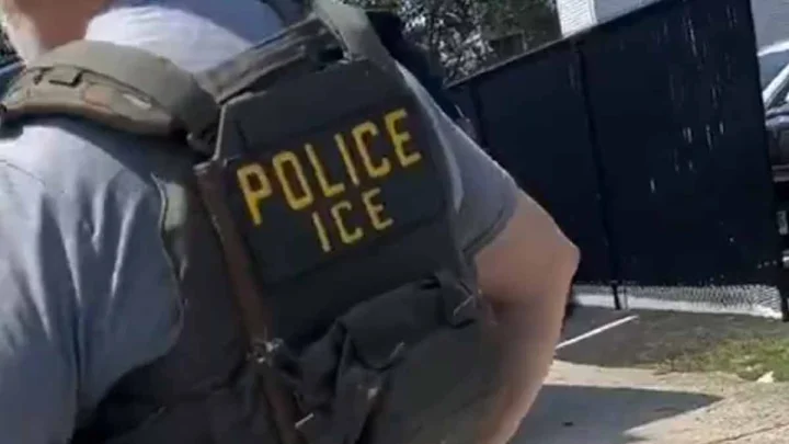 US to buy thousands of electric shock gloves for ICE agents