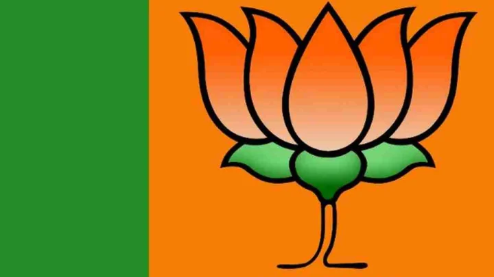 BJP Scores Hat-Trick in Gandhinagar Civic Polls, Wins 38 Seats; AAP Draws a Blank