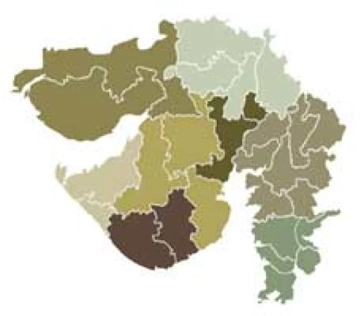 પાટીદાર અનામત આંદોલન