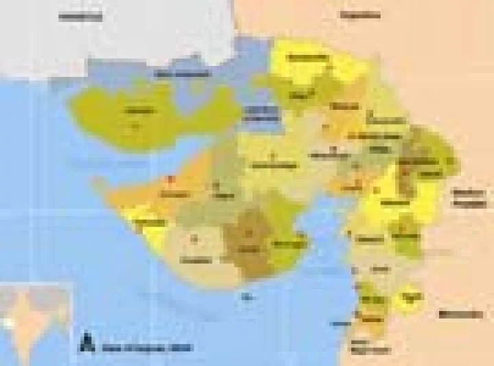 મતદારો