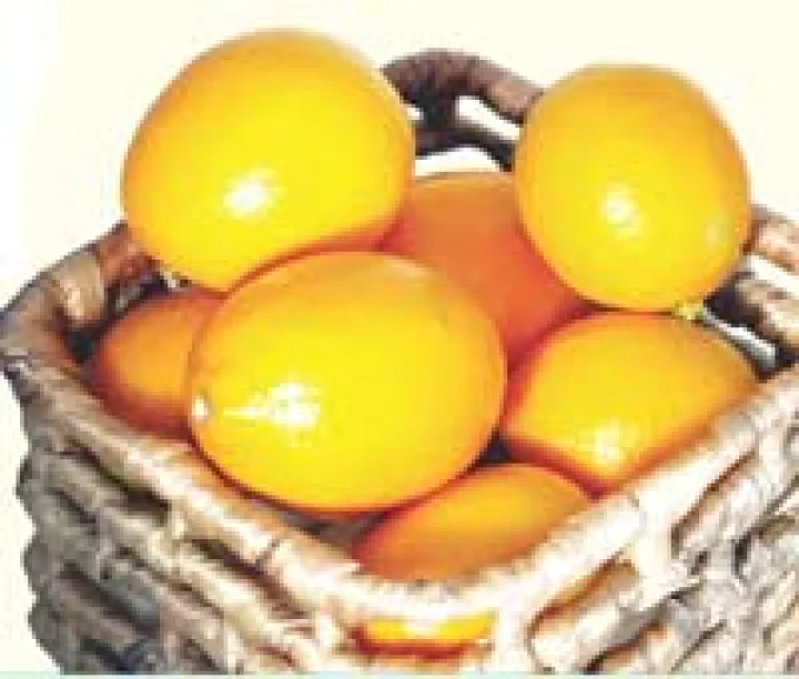 ગુજરાતી બ્યુટી ટીપ્સ