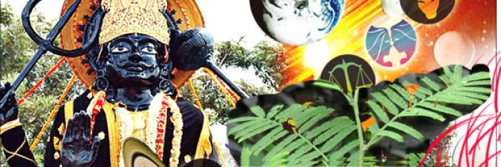 શનિની કૃપા