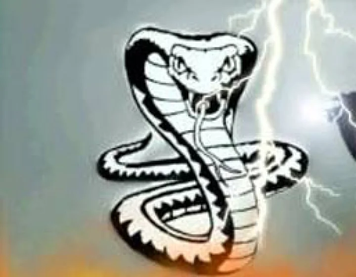 પુત્ર પ્રાપ્તિ