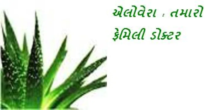 એલોવેરા