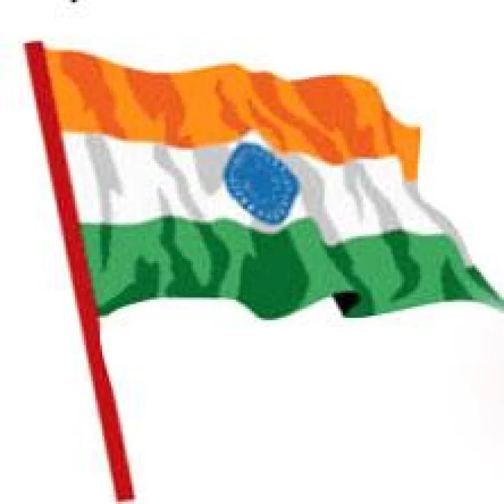 हर घर तिरंगा : तुमच्या घरावर झेंडा फडकावणार असाल, तर 'या' 10 गोष्टी लक्षात ठेवा