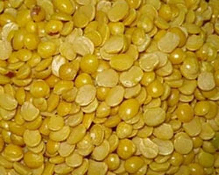 tuvar dal