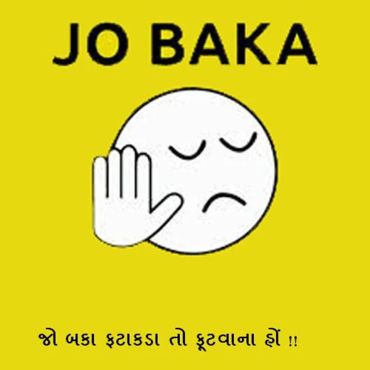 હવે ફટાકડામાં પણ સાઇલેન્સર... જાણો બકાનું ડહાપણ !!