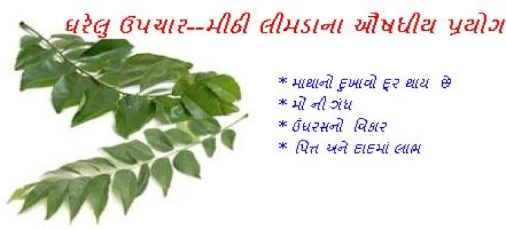 5 home remedies of neem