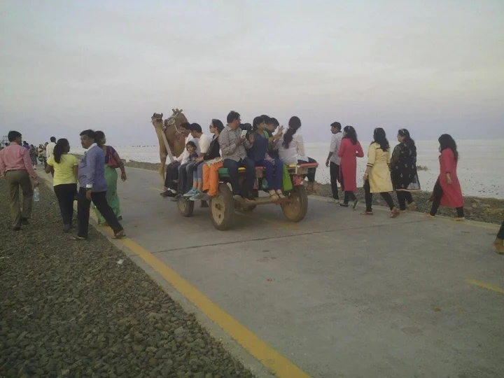 dhordo rann utsav