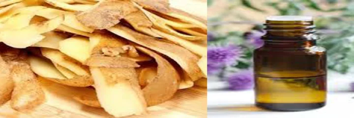 બ્યૂટી ટીપ્સ- વાળને સફેદ થવાથી બચાવશે આ એક ઘરેલૂ ઉપાય 