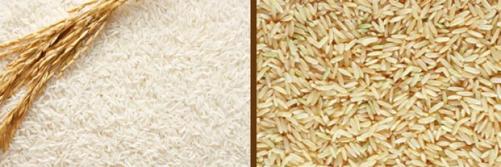 વ્હાઈટ રાઈસ કે બ્રાઉન રાઈસ