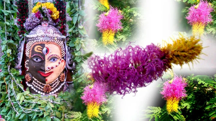 રાશિ સાથે સંબંધિત વૃક્ષ