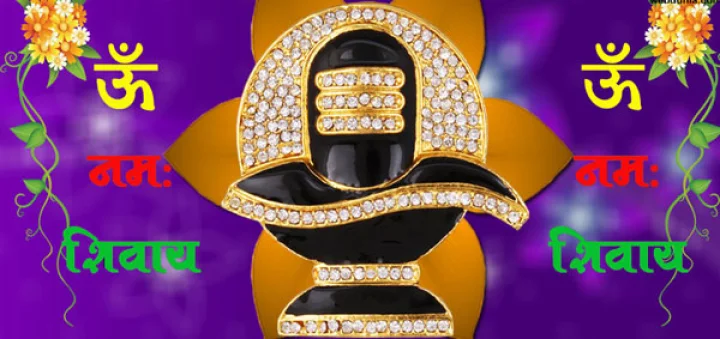 જેવી મનોકામના એવું હોય શિવલિંગ 