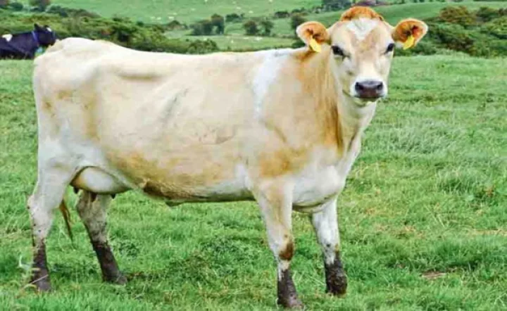 ગાંધીનગર