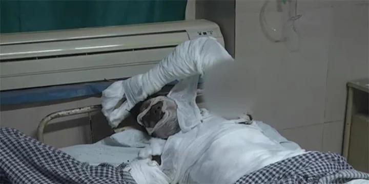 રિલાયન્સ