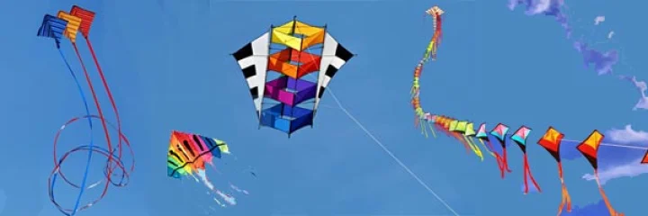 ઉત્તરાયણ