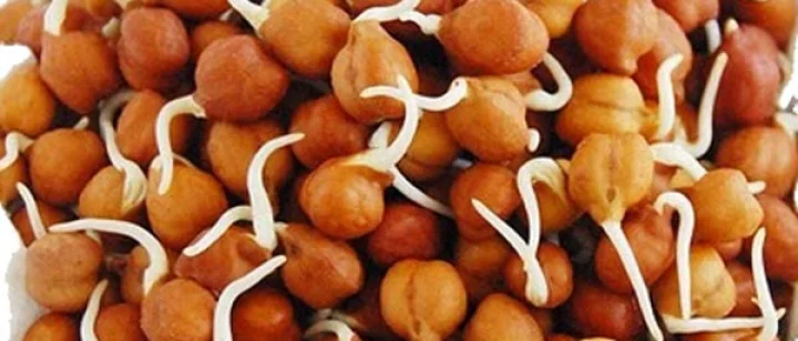 કાળા ચણા
