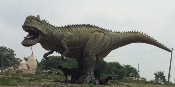 ડાયનાસો