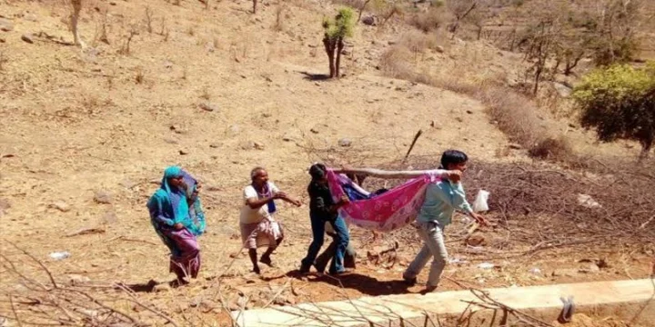 ગુજરાતનો વિકાસ