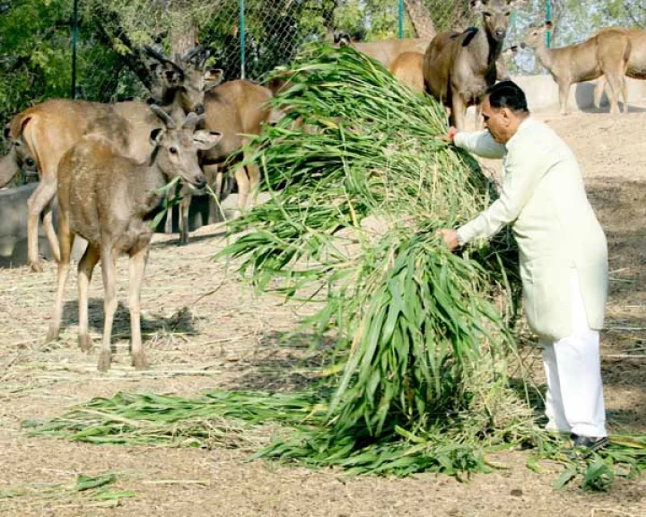 વિશ્વ પ્રકૃતિ સંરક્ષણ દિવસ