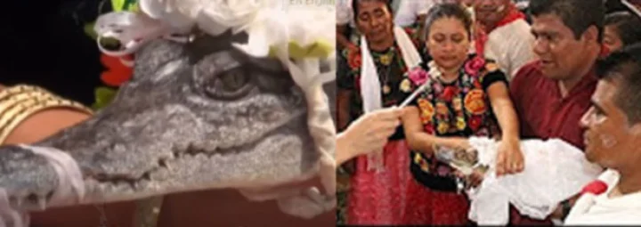 સમાચાર જરા હટકે 