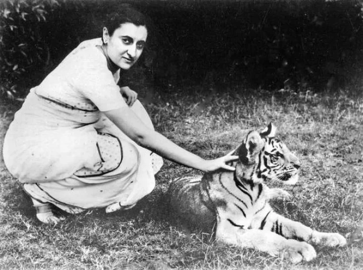 ઈંદિરા ગાંધીનું અફેયર