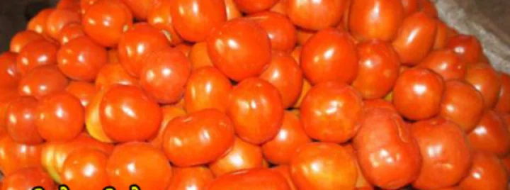 સ્ટેટ બેંક ઑફ ટોમેટો