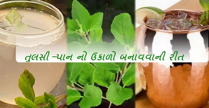 tulsi tea