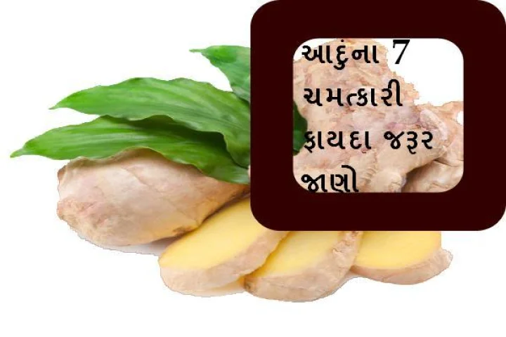 useful benefits of ginger