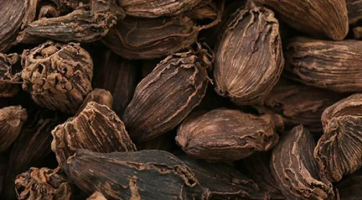 black cardamom