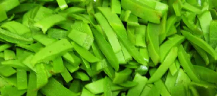 Bottle Gourd Remedies